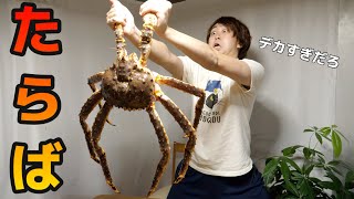 Here's how to instantly peel the hard shell of a giant King Crab!! 【How to clean a King Crab】