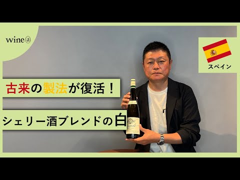 【古来の製法をリバイバル】クネ / モノポール クラシコ（スペイン）