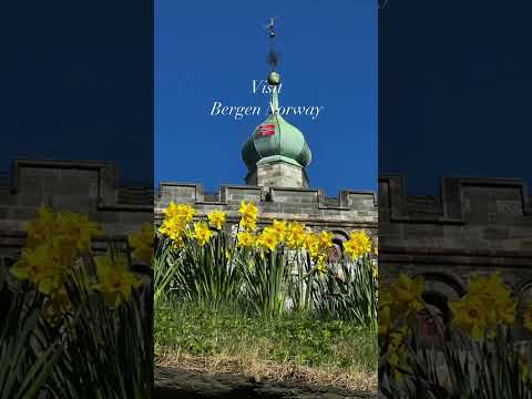 Bergen Norway Port Highlights | Viking Ocean Cruise | ⬇️ description #travel #cruise #vikingcruises