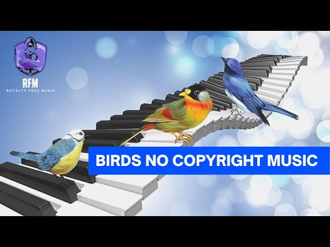 Birds Singing (No Copyright) music By  XAD