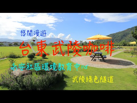 萬ㄟeye台灣201908台東武陵咖啡   4K