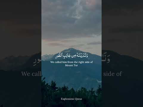 Peace and Relaxation of Mind from Quran | Beautiful Quran Verses (19:51)