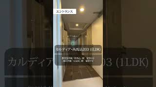 【1分内見】ルームツアー |カルディアⅡ西馬込203 | 太田区｜西馬込駅　五反田駅｜1LDK｜room tour