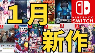 【スイッチ新作ゲーム】２０２５年１月の発売ゲームソフト紹介