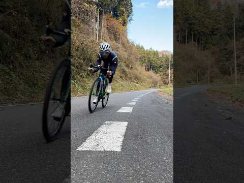 ロードバイク(下り)の走行音 #cycling #ASMR #shorts