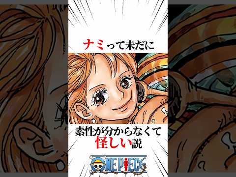 【ワンピース】ナミって未だに素性が分からなくて怪しい説 #shorts #onepiece