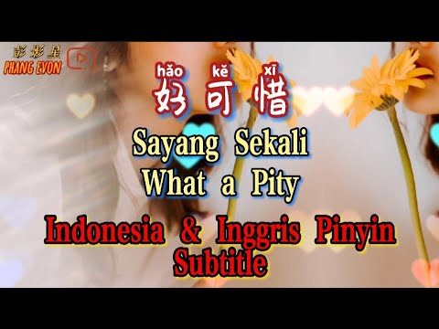 Hao Ke Xi 好可惜 Terjemahan Indonesia, Inggris, Pinyin, Subtitle