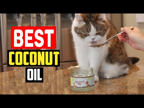 ✅Top 5 Best Coconut Oil For Dogs in 2024