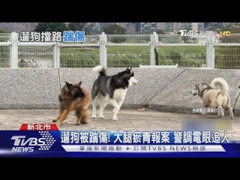 盯我狗幹嘛! 遛狗被控擋路釀糾紛 2人衝突｜TVBS新聞