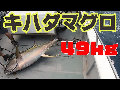 【マグロ49kg】キャスティング船で巨大マグロが現れた！！【最終回】