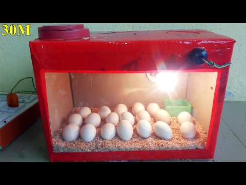 HOW TO MAKE INCUBATOR FOR CHICKEN EGGS | HOW TO MAKE EGG INCUBATOR AT HOME