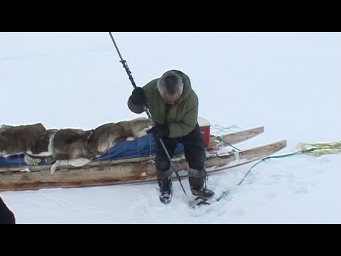 Stevie, an Inuit from Qikiqtarjuaq secures the sled brake - Nanoq 2007 expedition