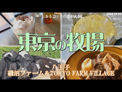 ４０代おひとりさま　東京の牧場へ行く。　epi.63　磯沼牧場｜TOKYO FARM VILLAGE｜八王子｜東京の牧場｜BASEL｜チーズケーキ