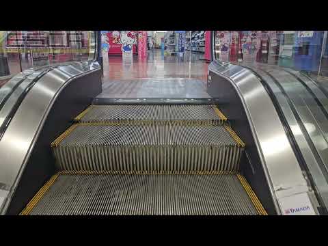 Yamada Denki Techland Yokohama Izumi Store Escalator 1F-2F Toshiba