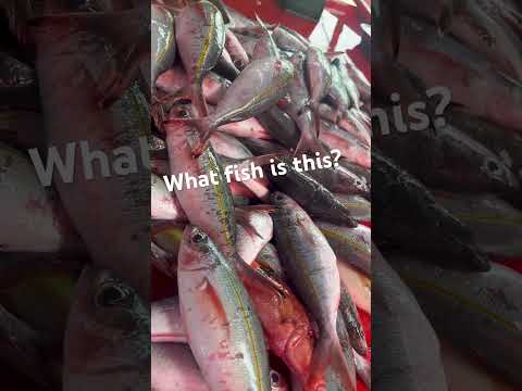 BATO SA ISA HAVE YOU TRY THIS? HEALTHY FOOD FOR EVERYONE #share #viral #fun #fish #blessed  #like