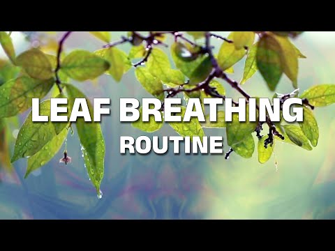 Leaf Breathing Routine