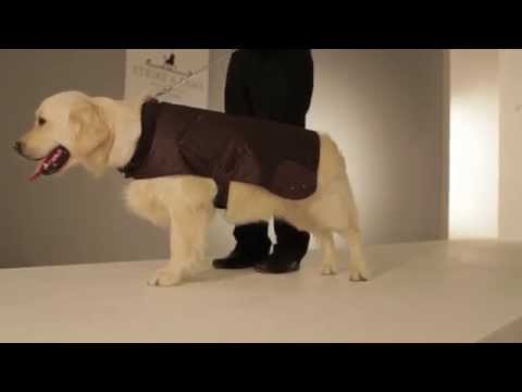 Strike-A-Paws 2014 - Wainwright's Padded Jacket in Chocolate