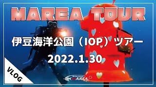 【ダイビングツアー】2022年1月30日に伊豆海洋公園（IOP）ツアーに行ってきました。さすが！冬のIOP！！海の青さが格別でした！２０ｍ先ぐらいまでは余裕で見えていましたよー！