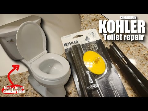 Kohler Toilet Repair - Leaky Canister valve - Not flushing correctly - EASY FIX