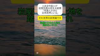 【非常識】中国人が岩屋外務大臣を大絶賛「常識人がまだ日本の政界にいる」 #shorts