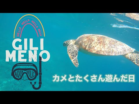 【Baliひとり旅】ep.2 ギリ島でカメと遊ぶ