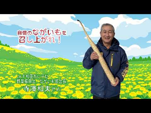 2023年2月10日放送「Fresh Vegetable」旬の青森県産ながいも紹介～JA十和田おいらせより～