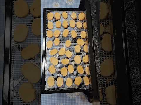 Dehydrating pumpkin marshmallows