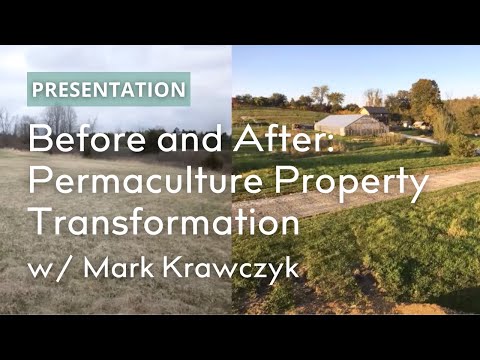 Mark Krawczyk's Property Transformation