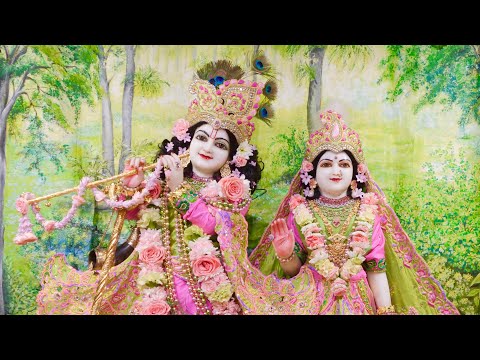 Sandhya Arati | Gaura Arati Kirtan by HG Maha Nrsingha Prabhu - Last Day of 2024