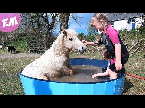 Pony Crashes the Pool Party!