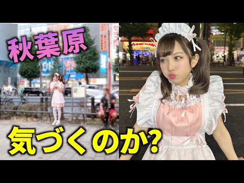 メイドに変身して秋葉原に立っていたら気づかれるのか！？【秋葉原】