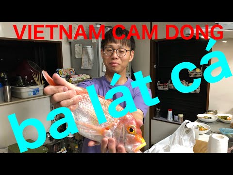 VIETNAM CAM DONG    ba lát cá