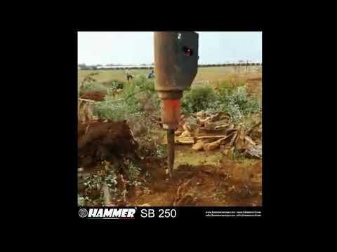 Hammer SB 250 Monobloc Hammer hydraulic breaker without tie rods at work, wood cutting