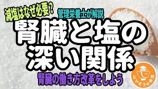 【管理栄養士がゆっくり解説】腎臓の働き方改革！腎臓と塩の深い関係【管理栄養士が解説】