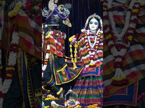 Il Radha Krishna ll #mayapuriskconmandir #krishanabhajan #viral shorts