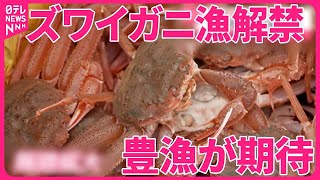 【ズワイガニ漁解禁】“当たり年”に期待高まる  オオズワイガニも大漁…“厄介者”を“人気者”に