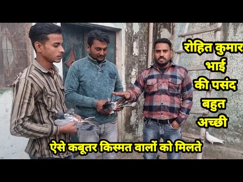 Rohit Kumar Bhai ki Pasand Bahut Achi