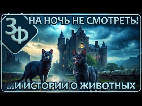 190 Истории Зрителей | Вторую часть на ночь не смотреть!