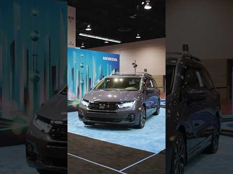 The 2025 Odyssey brought the magic of family travel to #D23