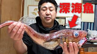 【賛否両論！？】深海の白身魚テナガダラを捌いていくよ