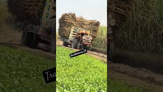 tractorstunt#agriculturalsystem#viralshorts #viralvideos #kisanmajdooriktazindabad