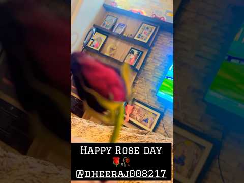 Mera Yaar Gulab 🌹 Manjur Kar Le | Temporary Pyar ❤️| #happyroseday2023 |song by- Kaka #shorts