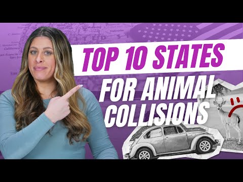 Most Dangerous States for Animal Car Crashes