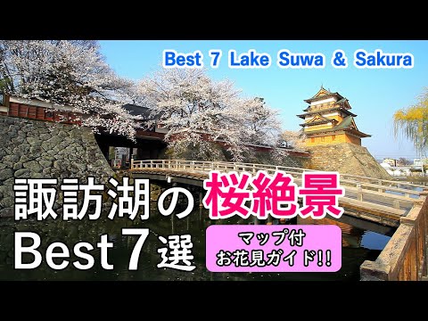 Top 7 best cherry blossom (Sakura) viewing spots around Lake Suwa / Spectacular Views of Japan