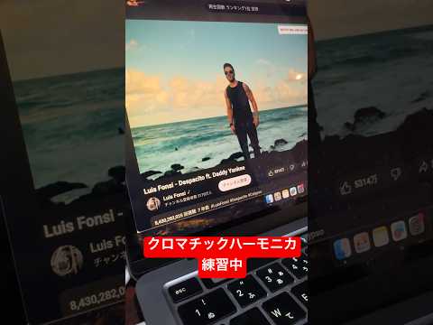 Despacito クロマチックハーモニカ初心者が練習中