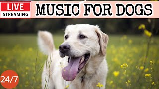 🔴[LIVE] Dog Music🎵Dog Calming Music🐶💖Dog Separation Anxiety Relief💖🦮Relaxing Sleep Music for Dogs🔴7