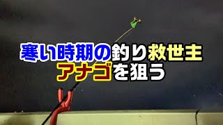 【アナゴ釣り】寒くなってきた時の釣り物はこれ