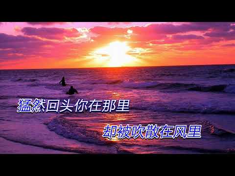 大海  张雨生 （KTV伴奏版）