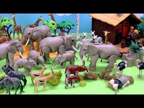 Playmobil Safari Animal Figurines on a Diorama Scenery Set