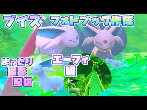 【Newポケモンスナップ】ブイズのフォトブックを作りたい…！まったり撮影配信 [エーフィ編]